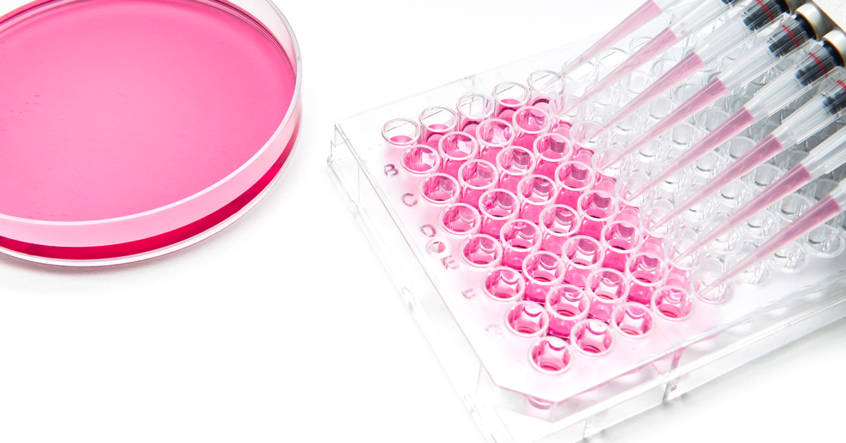 Future of Drug Discovery Exploring the Advantages of CellBased Assays